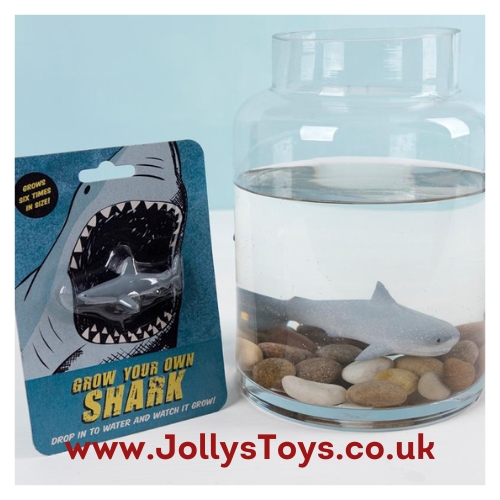 Grow Your Own Shark